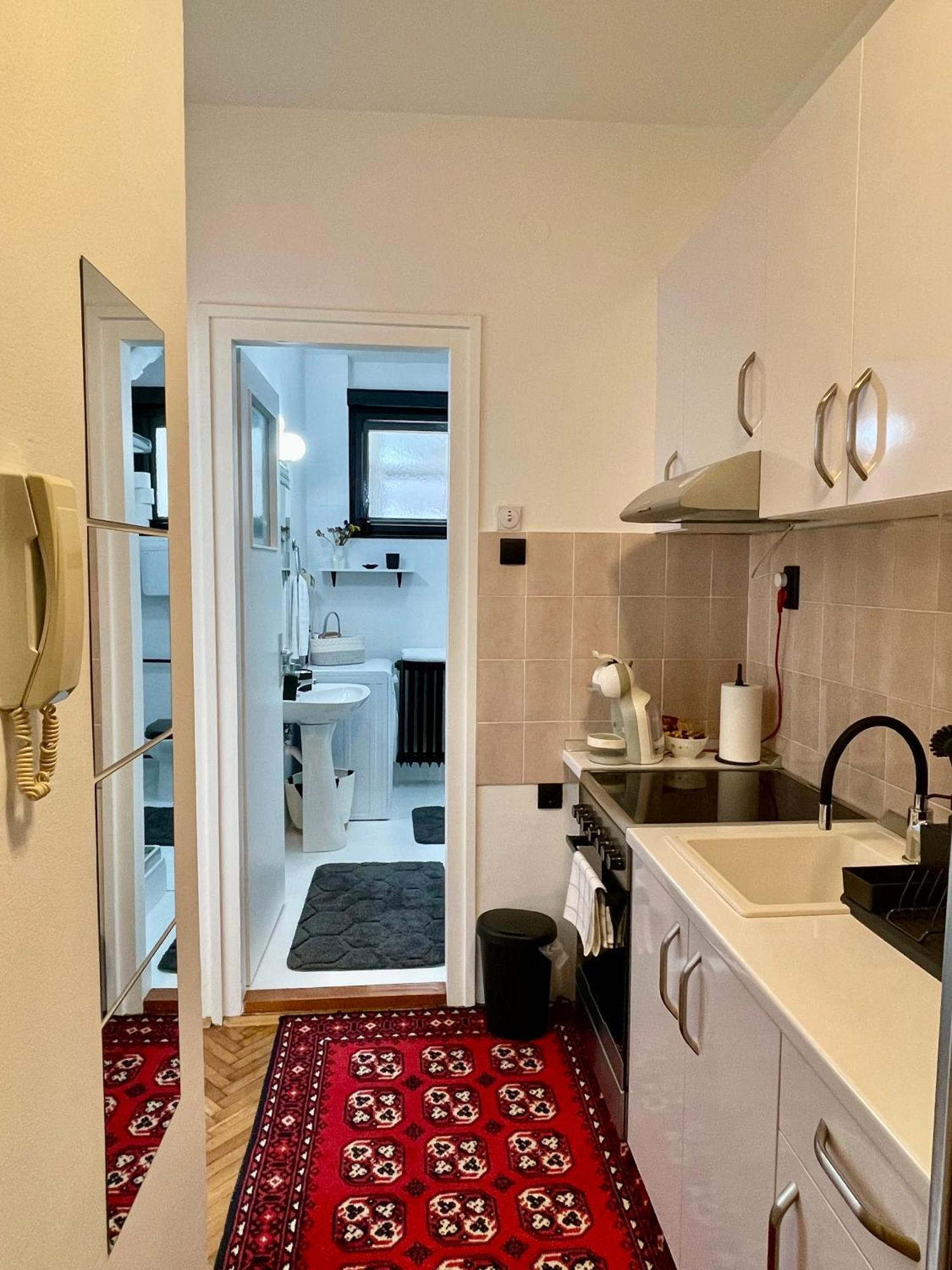 Apartment Mirochka Belgrade Extérieur photo