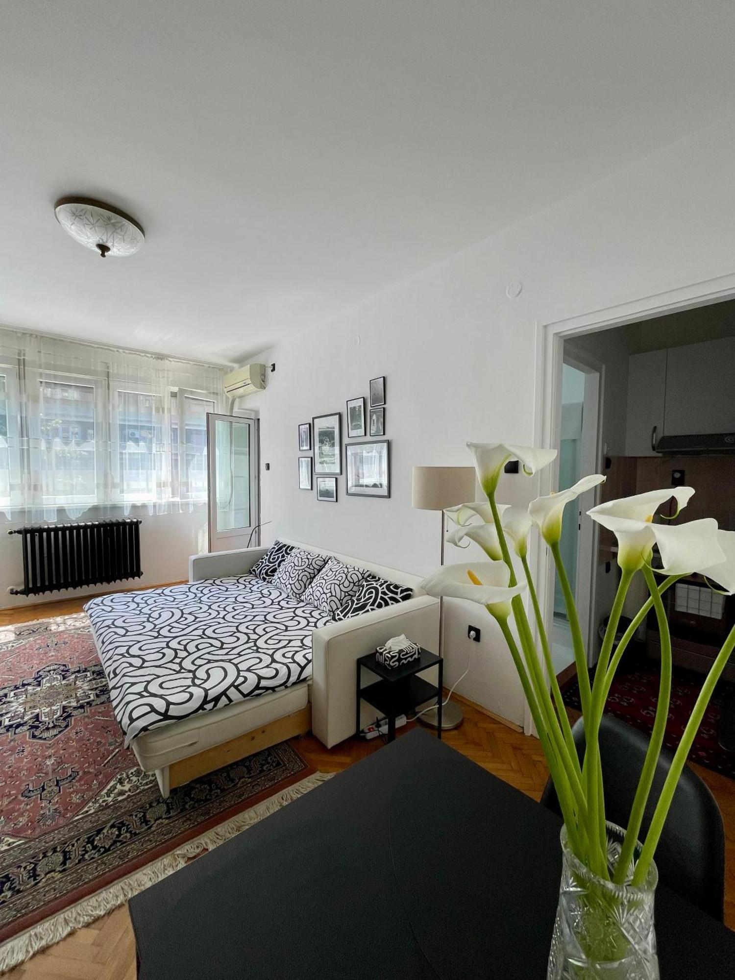 Apartment Mirochka Belgrade Extérieur photo